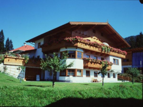Гостиница Haus Moosanger, Вильдшёнау